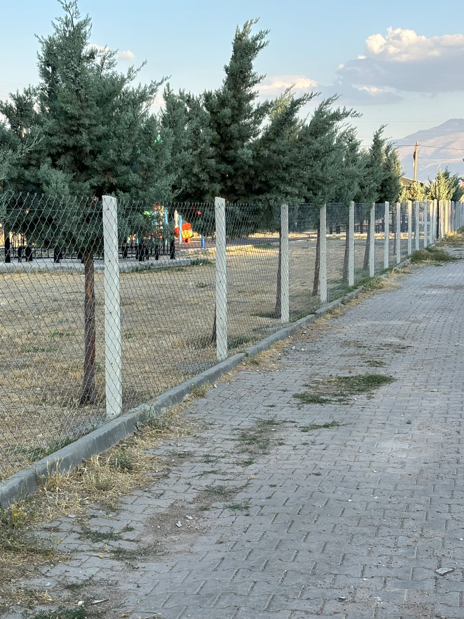 PARK VE ÇEVRE DÜZENLEMESİ